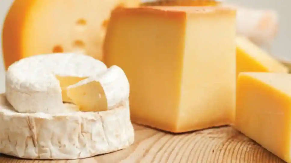 Not cow, buffalo, or goat: World’s most expensive cheese is made from this animal’s milk, its price will shock you